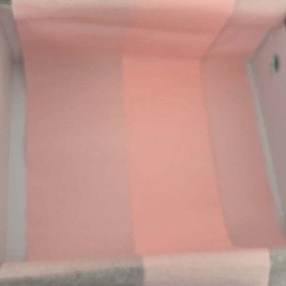 Esor Marie Authentic Shoe Box with Dust Bags, Ribbon & Tissue – 9.5” x 8” x 4” - Picture 10 of 12